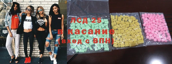 индика Приозерск